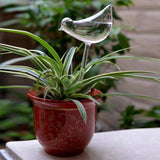 whimsical Hand Blown Glass Self-Watering Bulbs