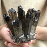 Natural Black Smokey Quartz Crystal Cluster Mineral Specimen Healing