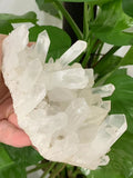 Rare White Quartz Crystal Cluster Mineral Specimen Healing