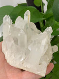 Rare White Quartz Crystal Cluster Mineral Specimen Healing